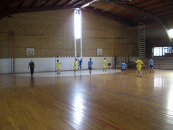 fudbal2010-2